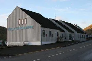 Heilsumidstodini