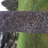 Gravsteinurin yvir teimum ið fórust við Riddaranum 25. septembur 1927