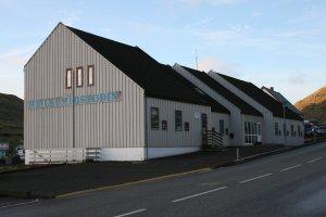 Heilsumidstodini